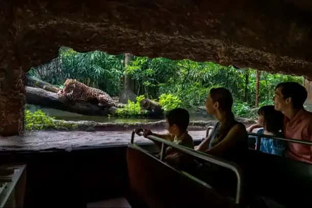 River Safari2