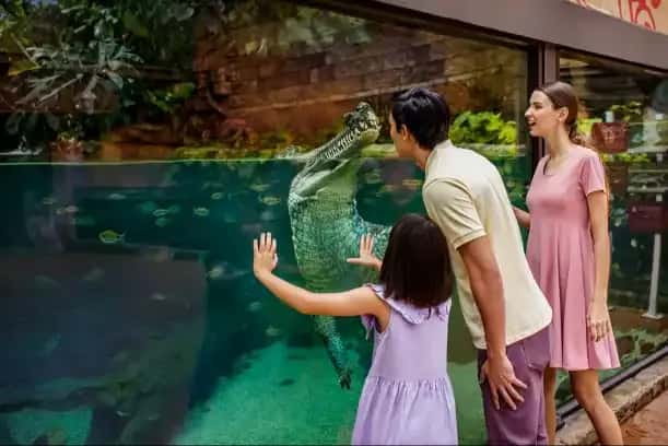 River Safari3