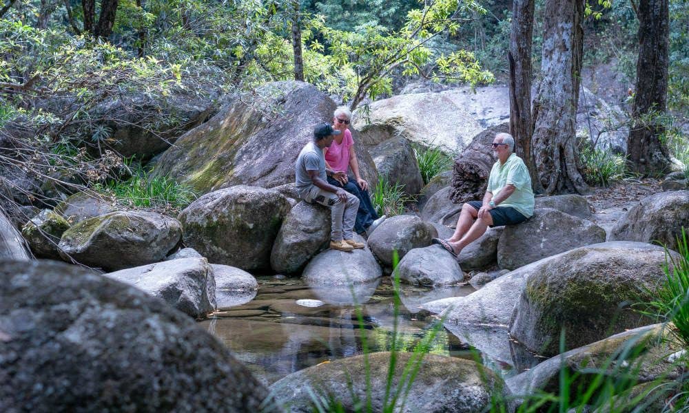 ทัวร์เต็มวัน Julaymba Dungay ไปยัง Daintree และ Mosman