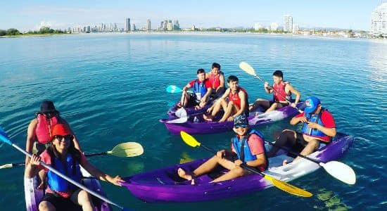 Gold Coast Morning Dolphin Kayaking and Snorkeling Tour