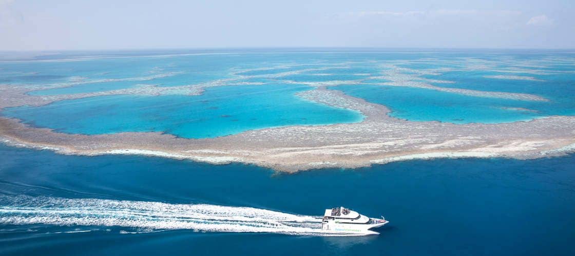ล่องเรือชมแนวปะการัง Great Barrier Reef ไปยังท่าเทียบเรือ Hardy Reef