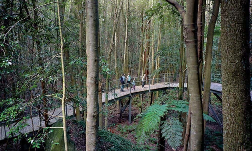 Great Ocean Road Day Tour with Melbourne Transfers2