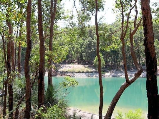 Guided hike in Araluen botanic park