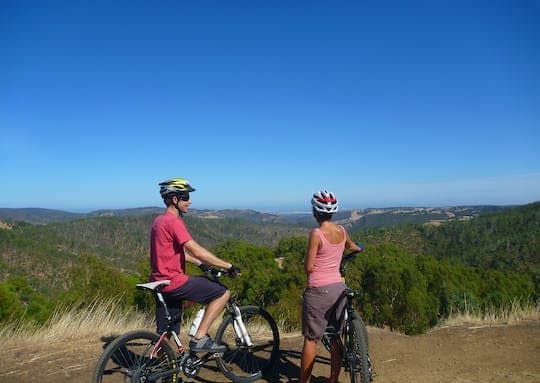 Half-day Lofty Descents tour by bike