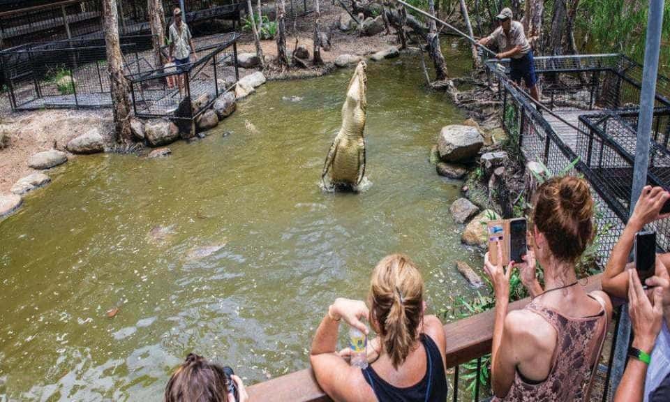Hartleys Crocodile Adventures General Admission3