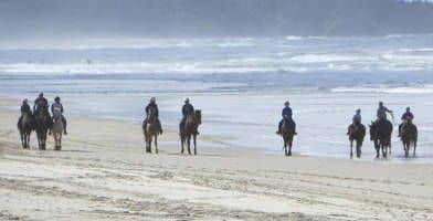 Horse Riding Byron Bay Beach Ride