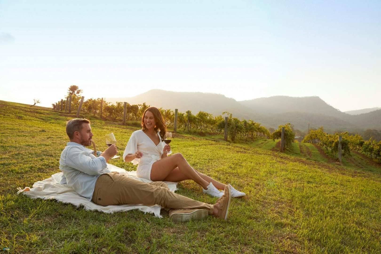 Hunter Valley Wine & Dine Day Tour from Sydney | New South Wales