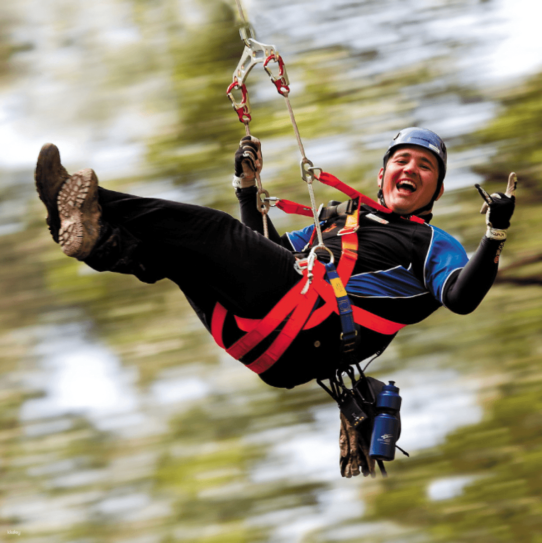 Illawarra Fly Treetop and Zipline Adventures: Treetop Walk, Zipline Tours | New South Wales, Australia