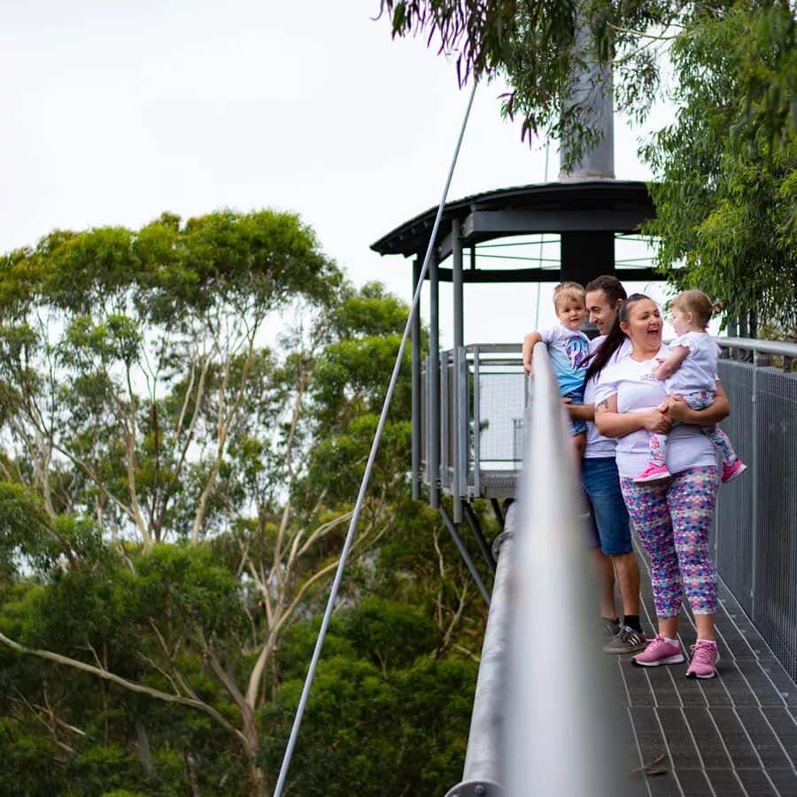 Illawarra Fly Treetop Walk Entry2