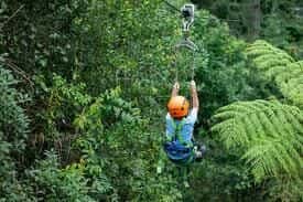 Illawarra Fly Zip Line Tours2