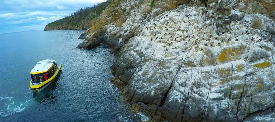 Iron Pot Scenic Cruise from Hobart