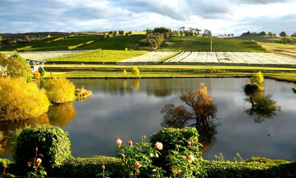Josef Chromy Introduction to Fly Fishing and Wine Tasting Tour