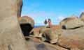 Kangaroo Island Full Day Tour from Adelaide including Lunch and Wine Tastings2