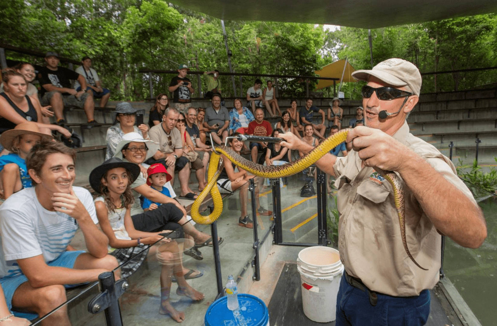 Kuranda Day Tour: Scenic Rail, Skyrail & Hartley's Crocodile Adventures | Queensland