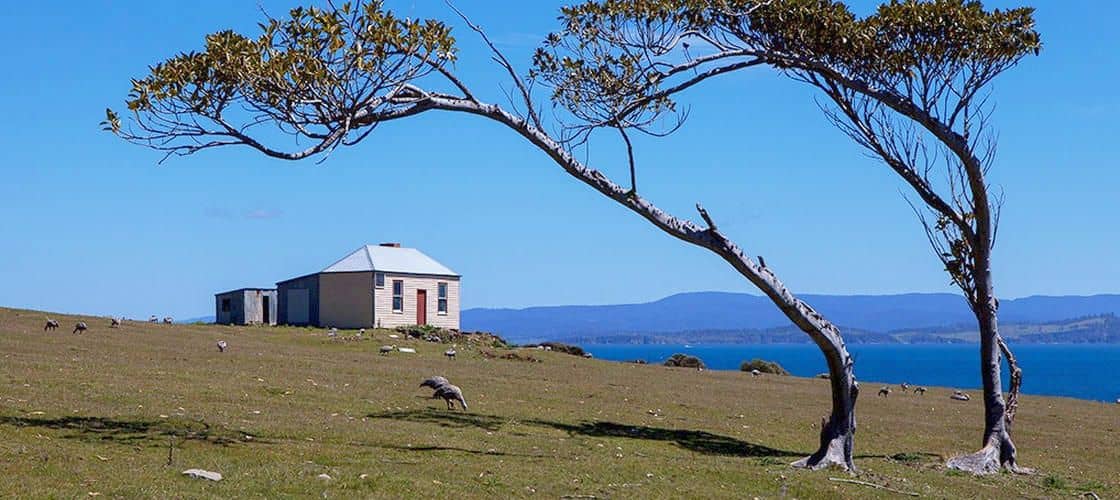 ทัวร์อุทยานแห่งชาติเกาะมาเรีย (Maria Island National Park) หนึ่งวัน จากโฮบาร์ต