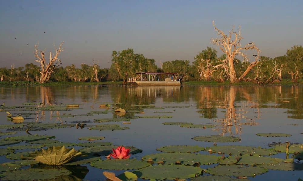 Mary River Wetlands Cruise from Darwin