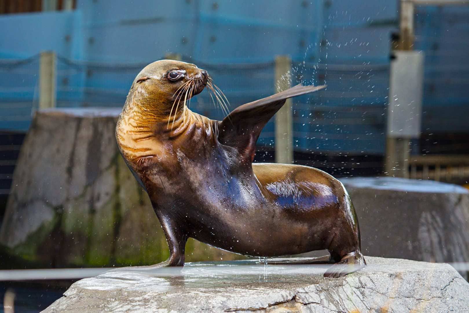 Melbourne Zoo