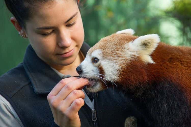 Mogo Wildlife Park Entry Tickets2