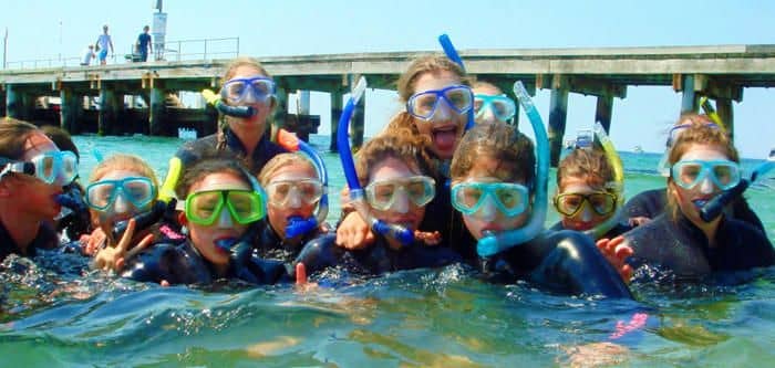 Mornington Peninsula Weedy Sea Dragons Snorkel Tour