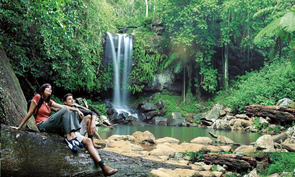 Mt Tamborine Rainforest Walk Half Day Tour