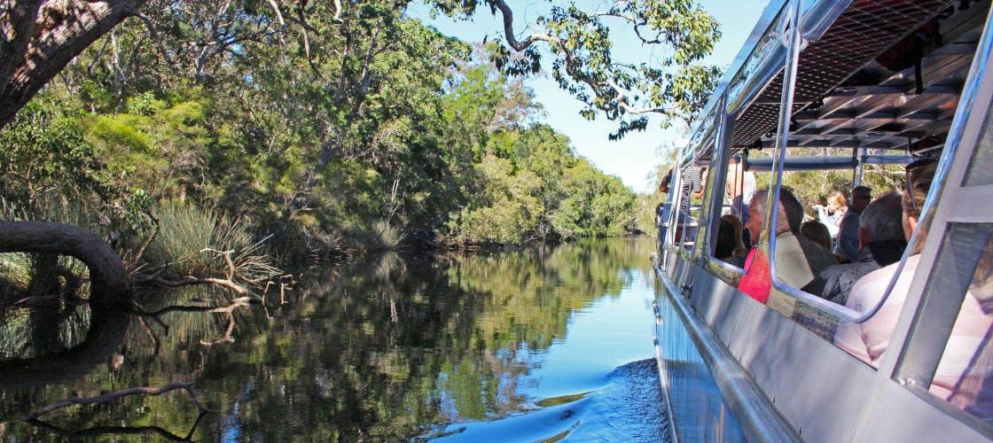 Noosa Everglades Serenity Cruise - Half Day