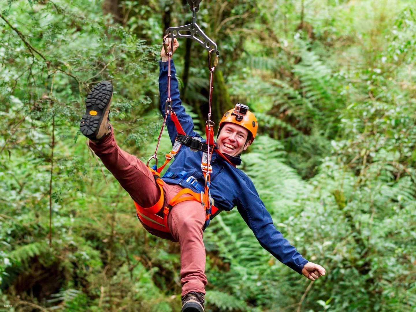Otway Fly Treetop and Zipline Adventures | Victoria