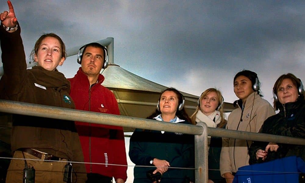 Phillip Island Penguin Parade and Guided Ranger Tour
