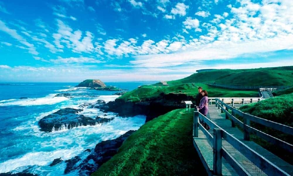 Phillip Island Penguin Parade Express Tour3