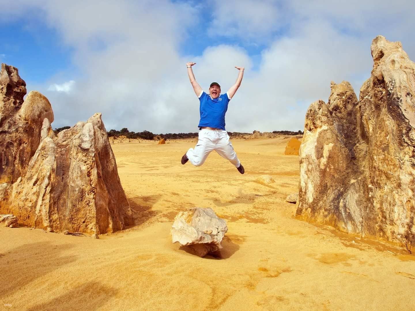Pinnacles Desert, New Norcia, and Wildflowers Full-Day Tour from Perth | Western Australia