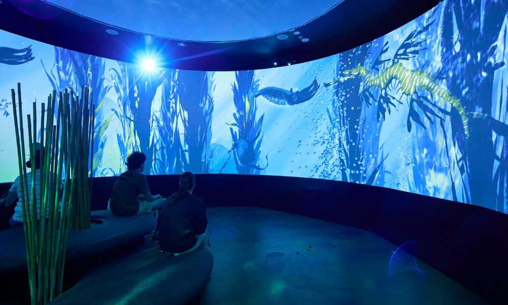 SEA LIFE Melbourne Aquarium Entry Tickets2