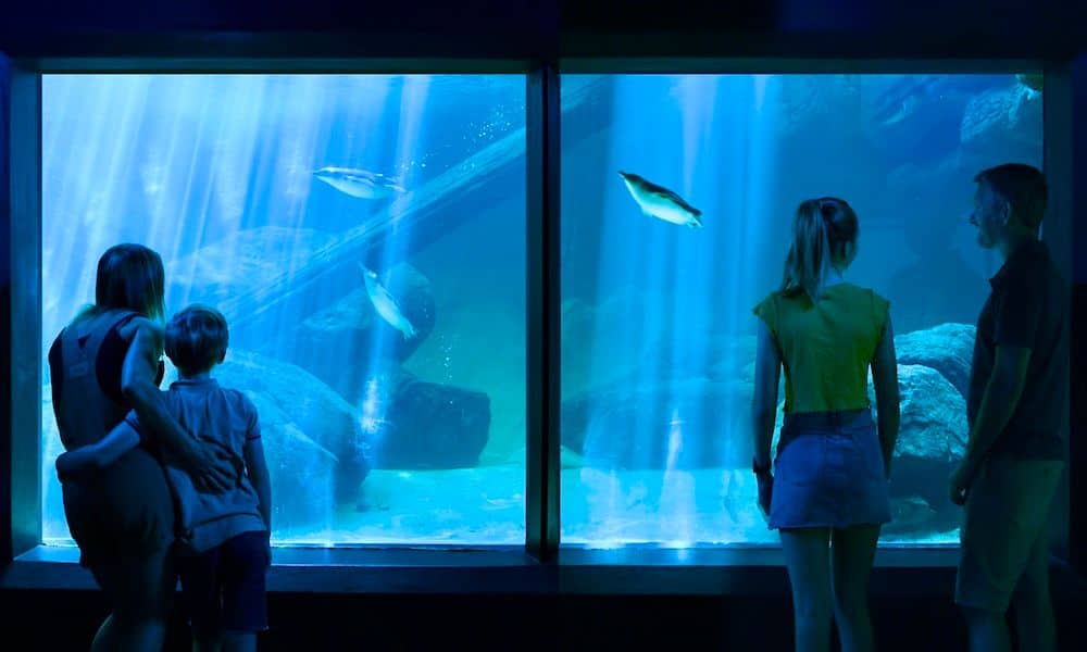 SEA LIFE Sunshine Coast Entry Tickets