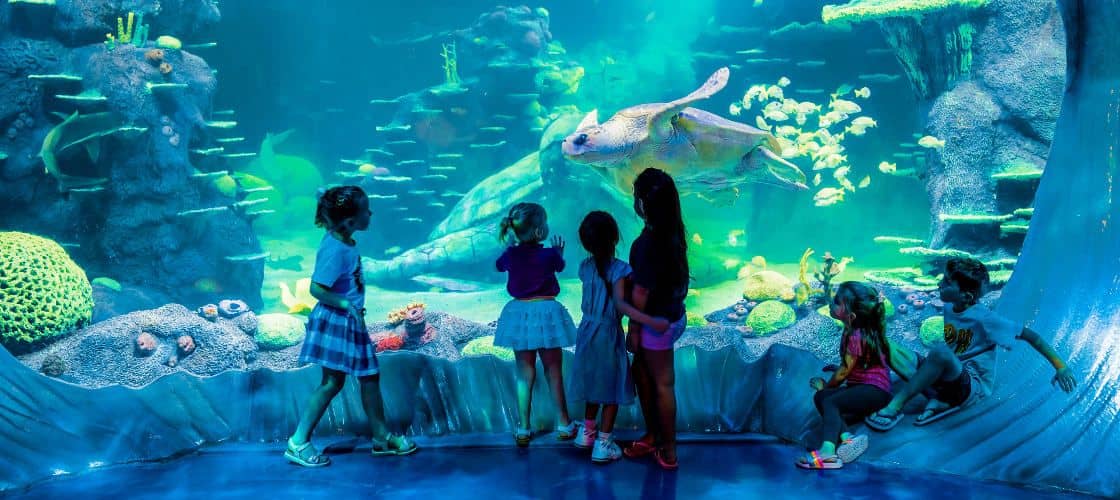 SEA LIFE Sydney Aquarium Admission
