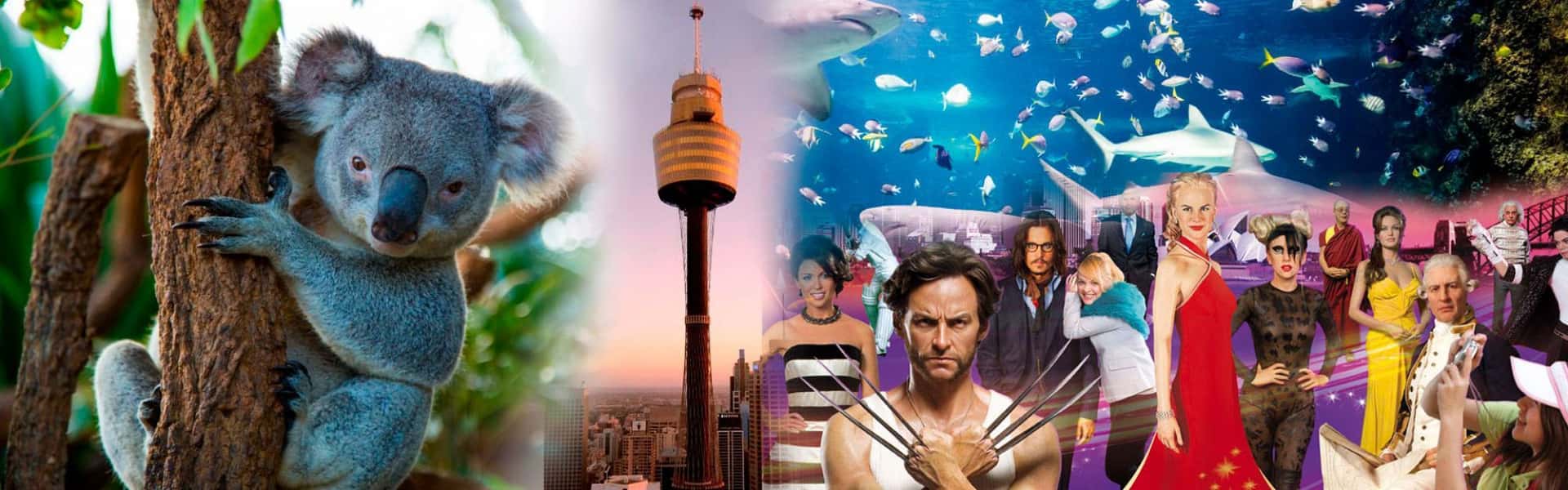 Sydney Attractions Pass1