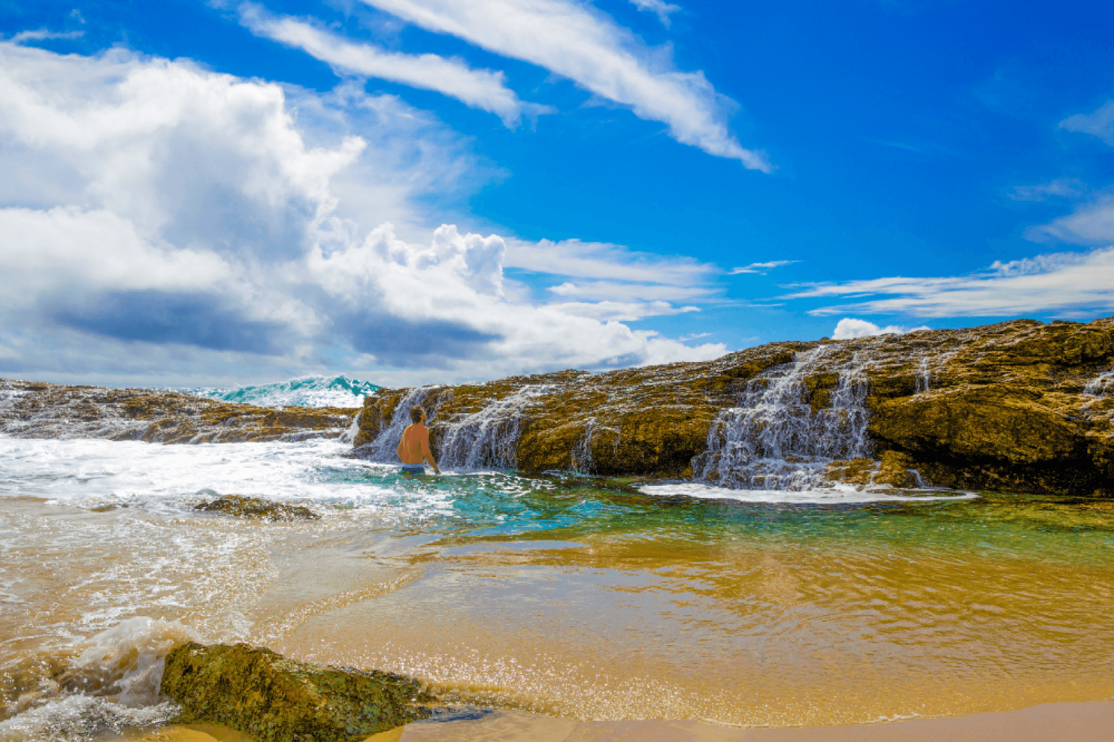 Tangalooma Beach Day Cruise with Bus Transfers from Brisbane