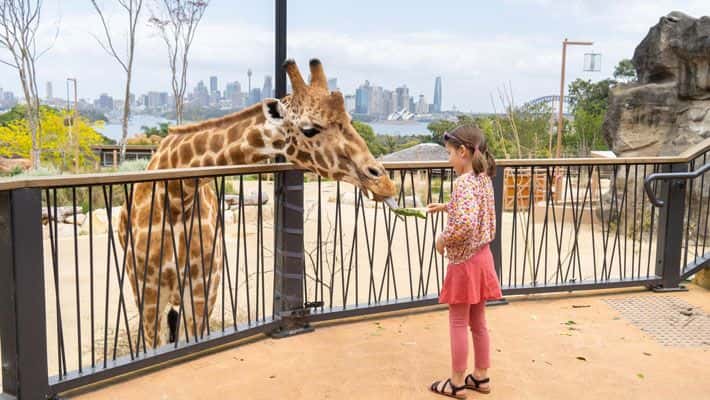 Taronga Zoo Entry and 1-Day Harbour Ferry Pass2