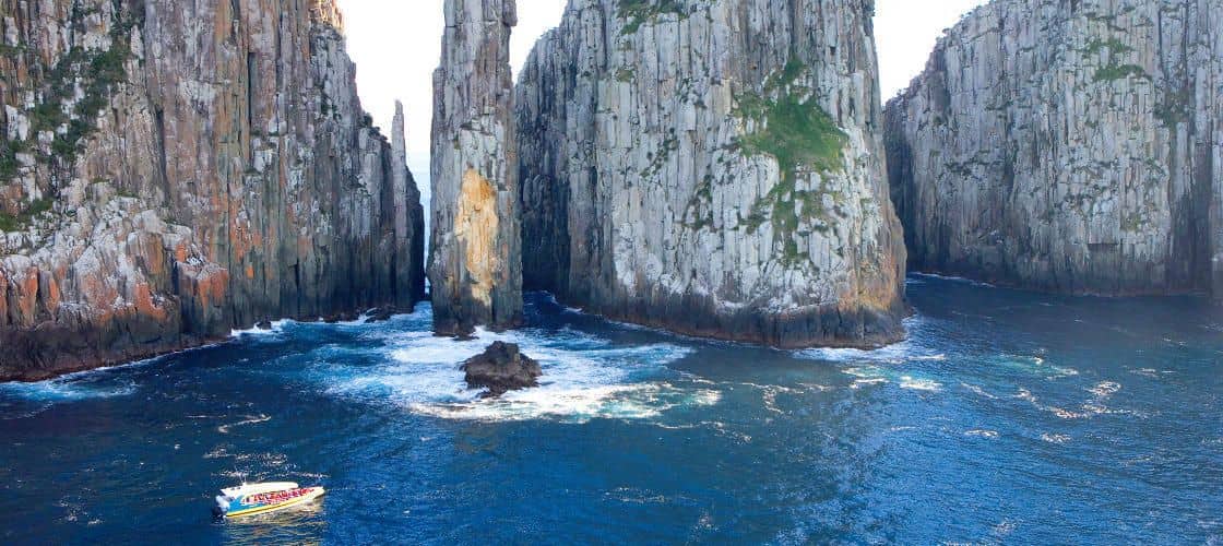 ทัวร์ล่องเรือชมเกาะแทสแมนแบบไปเช้าเย็นกลับจากโฮบาร์ต