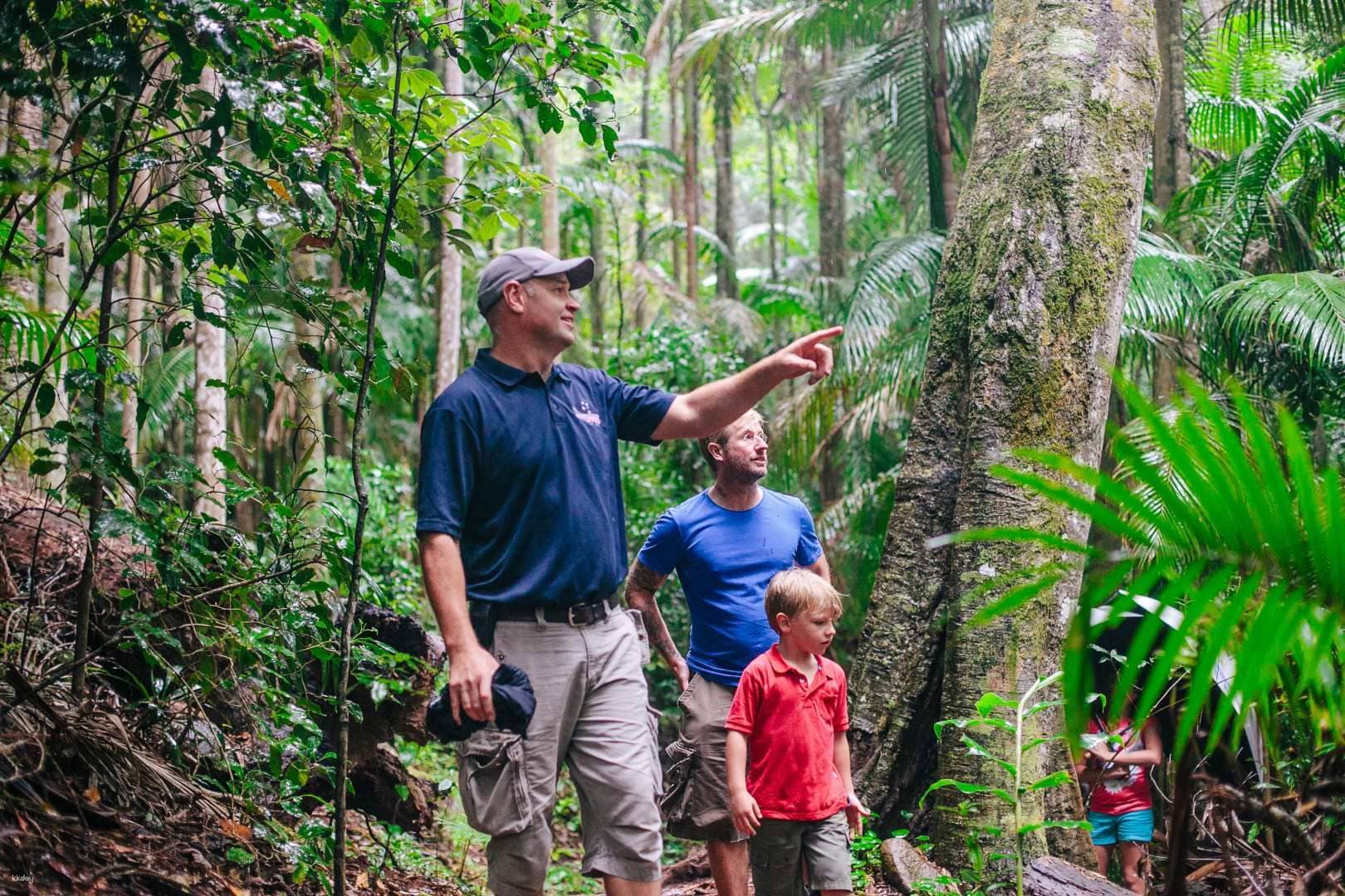 Tastes of Tamborine Mountain Tour | Queensland