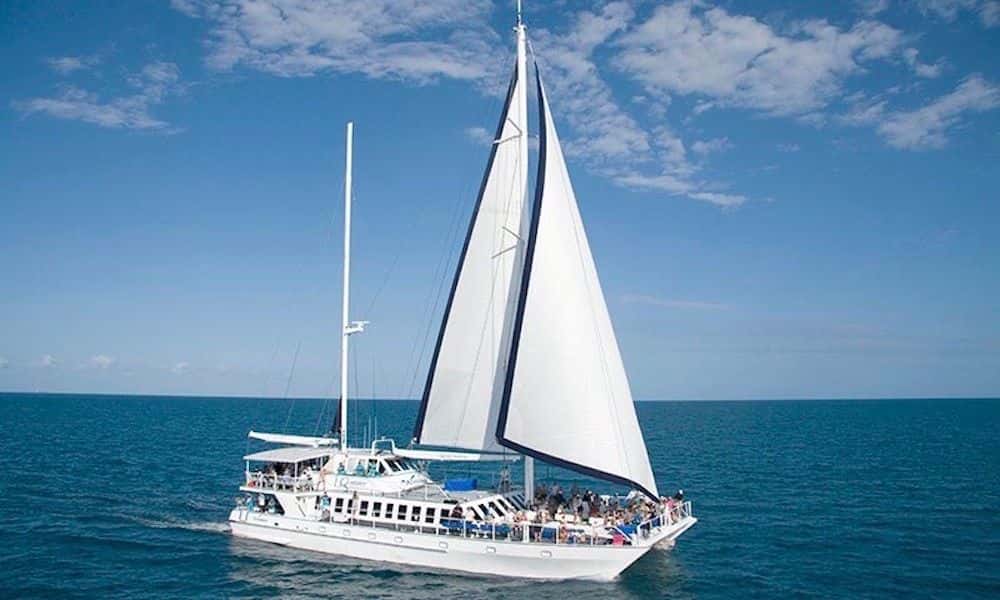 Wavedancer Low Isles Cruise from Port Douglas Marina1