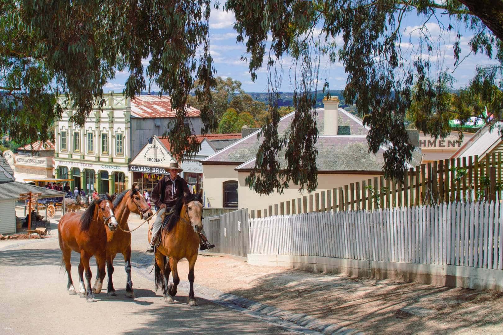 Winter Wonderlights or Sovereign Hill Ticket2