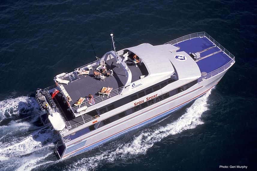 Yongala Wreck Dive Trip from Townsville and Magnetic Island1