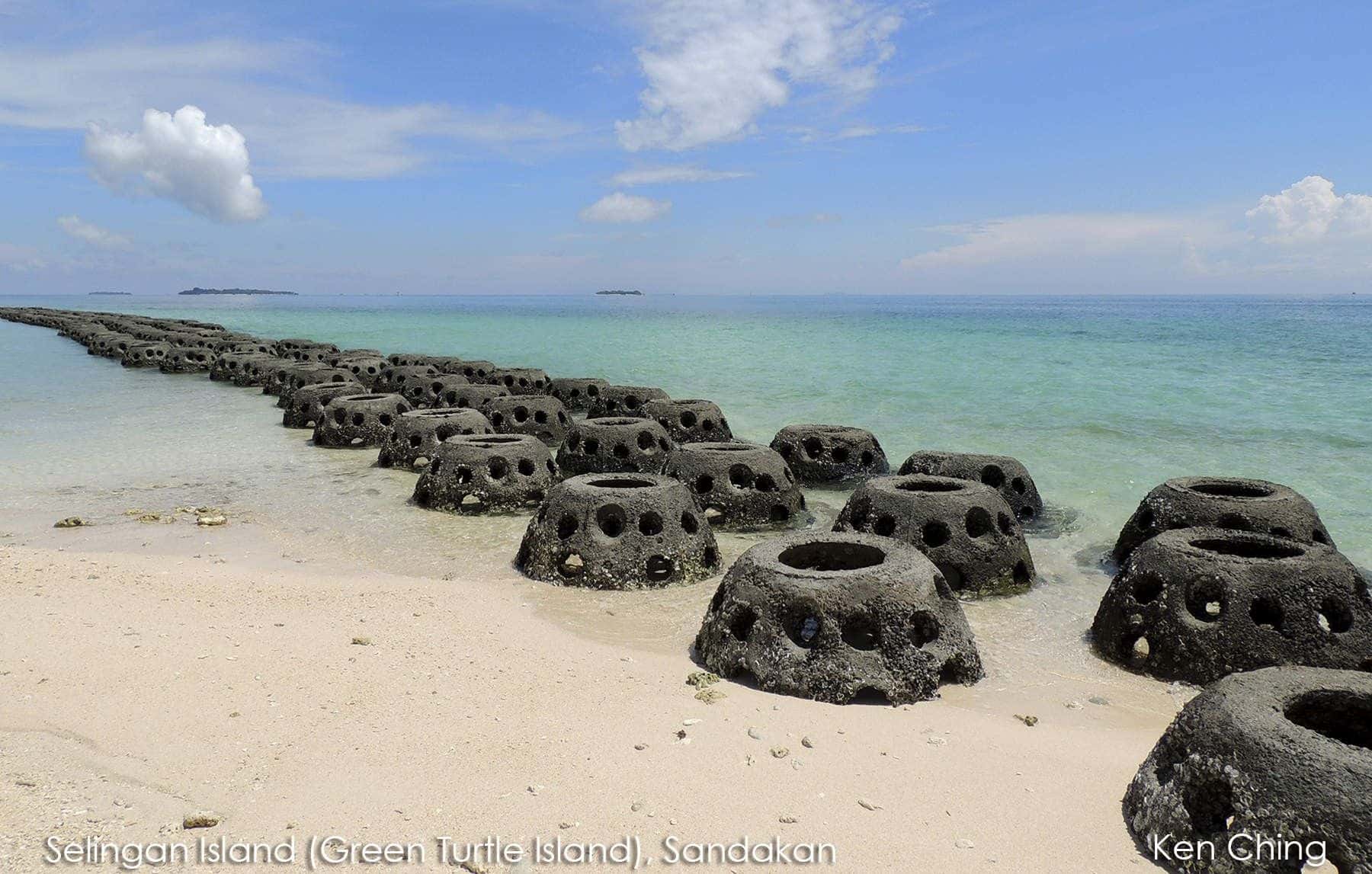 2D1N Selingan Turtle Island with Turtle Watching at Sandakan2