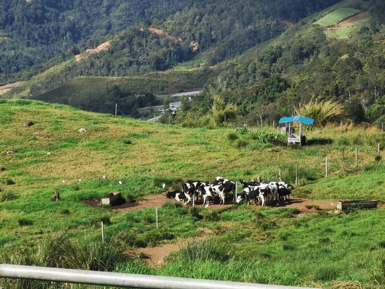 5D4N Kota Kinabalu + Kundasang Package2