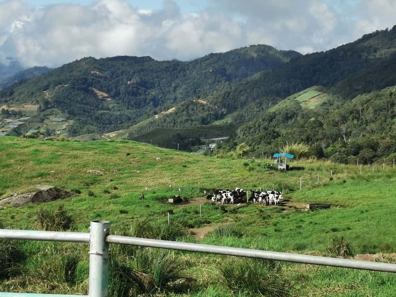 5D4N Kota Kinabalu + Kundasang Package3