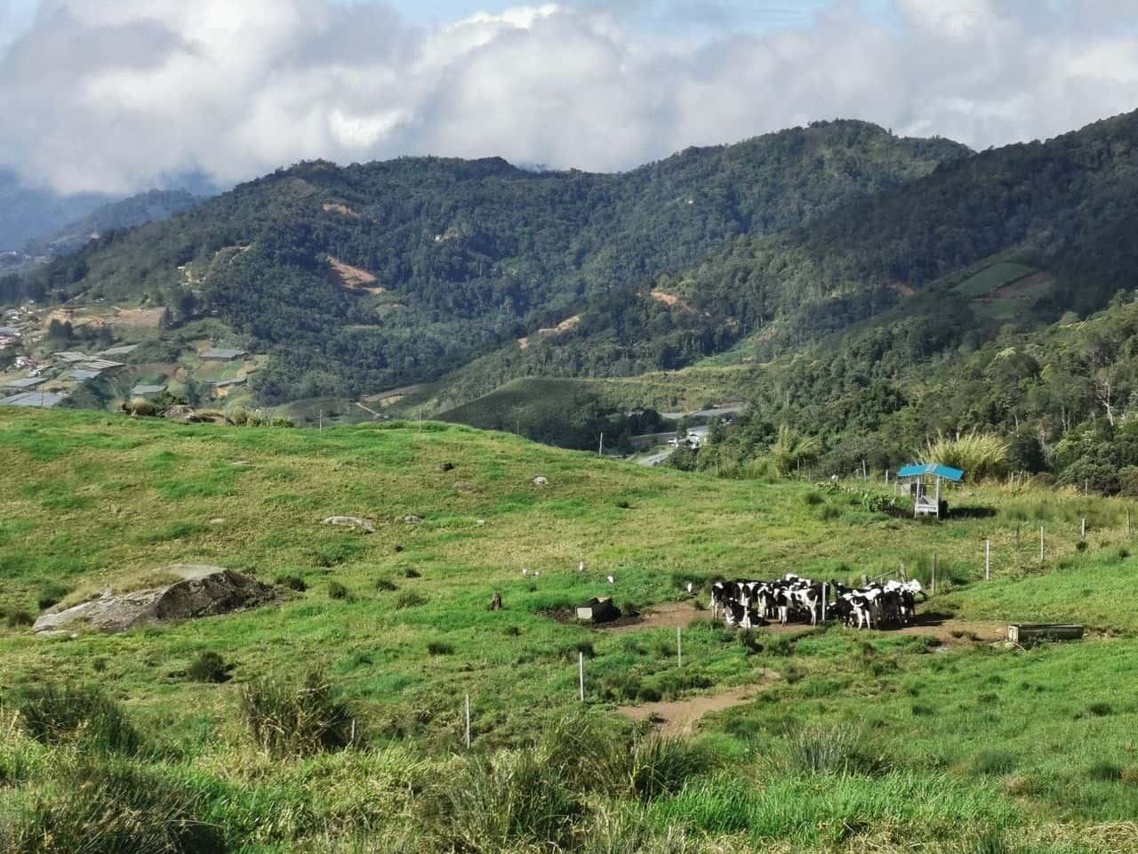 5D4N Kota Kinabalu + Kundasang Package1
