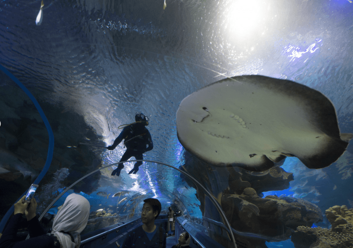 Aquaria KLCC4