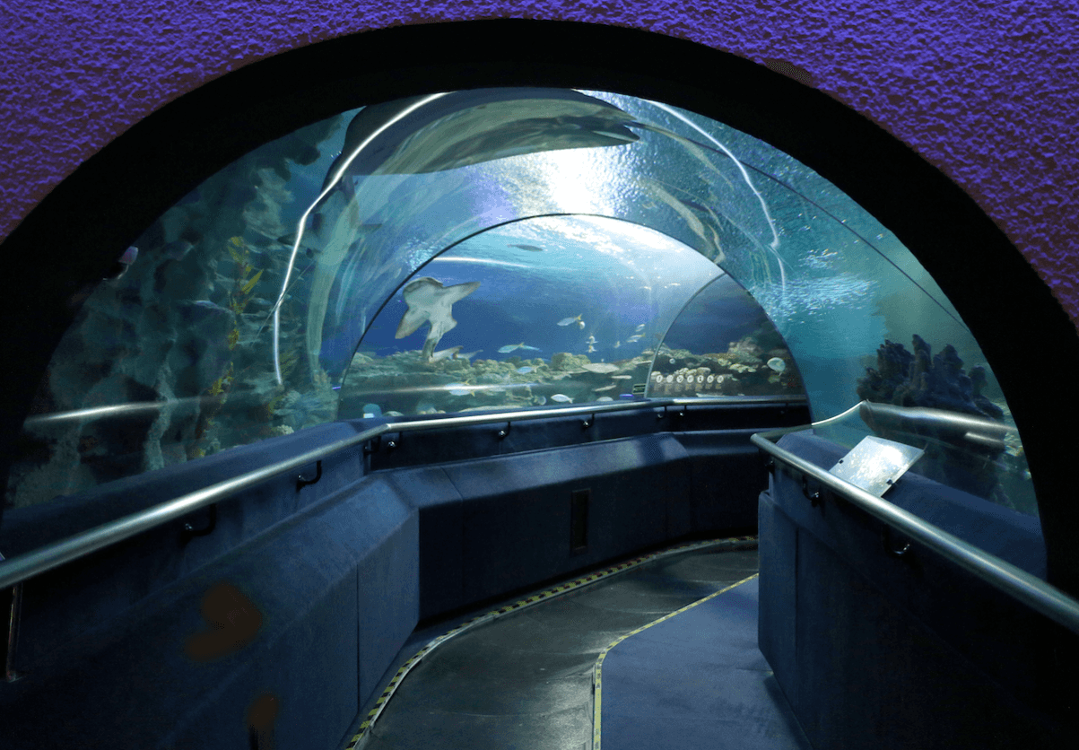 Aquaria KLCC3