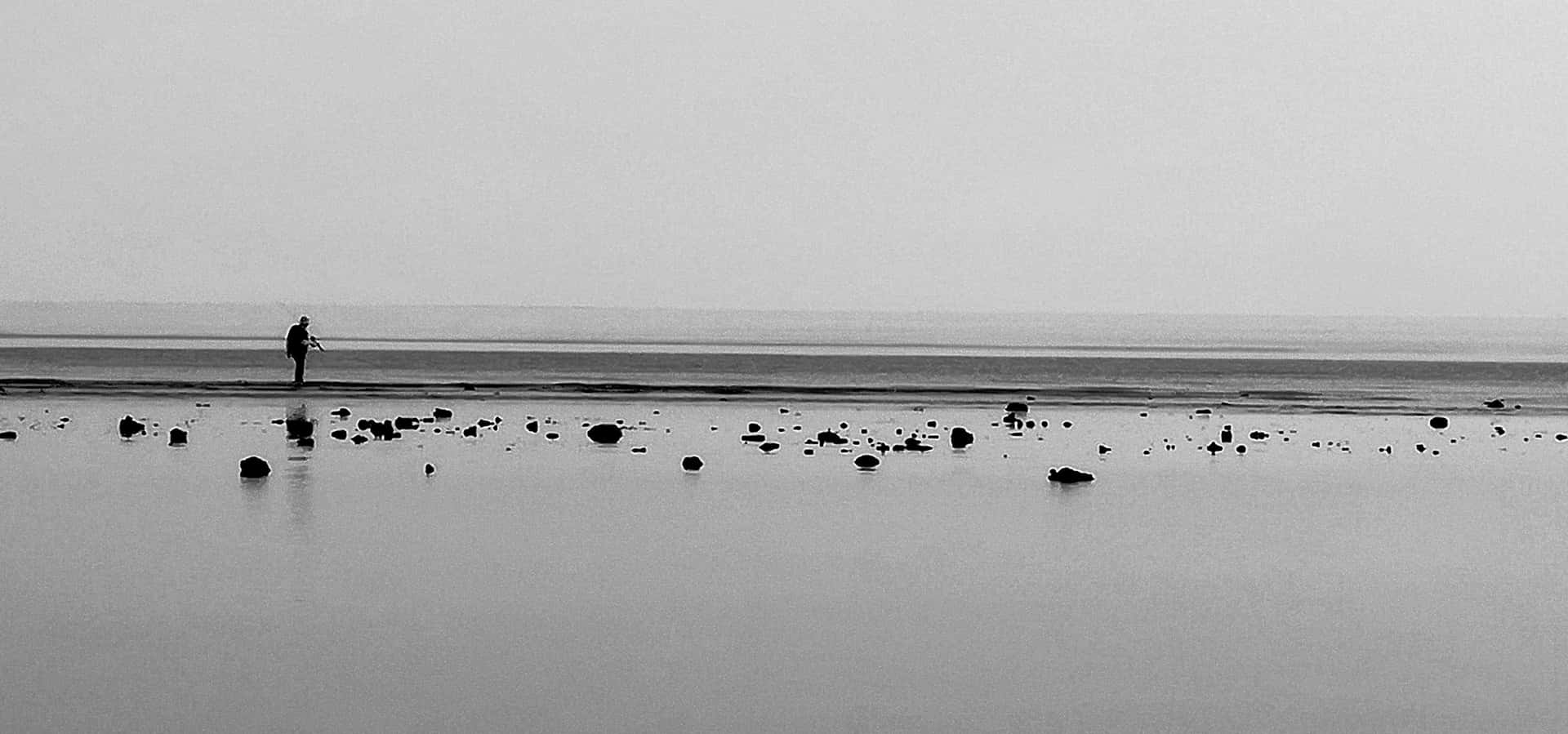 Beachlife & Tidepool Walk1