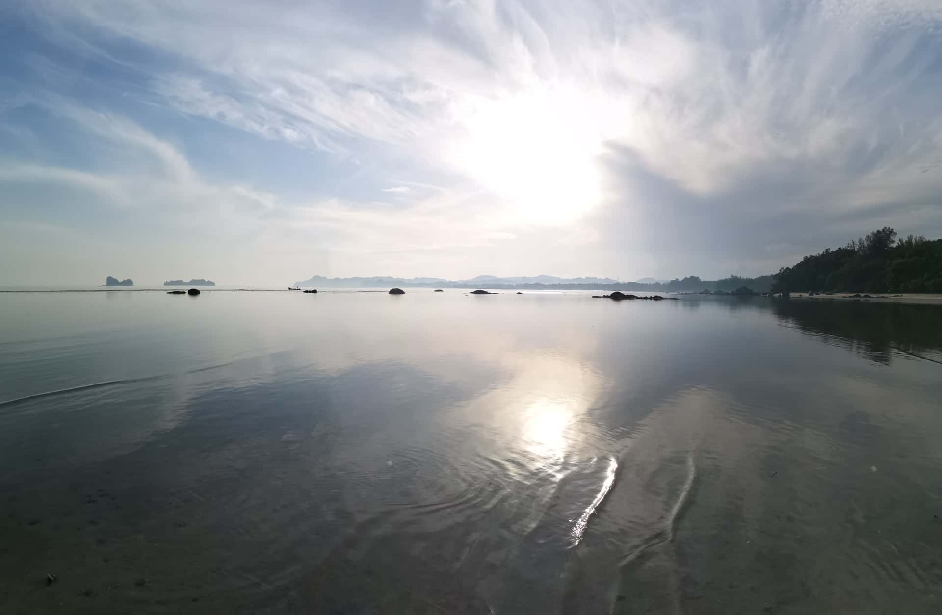 Beachlife & Tidepool Walk2