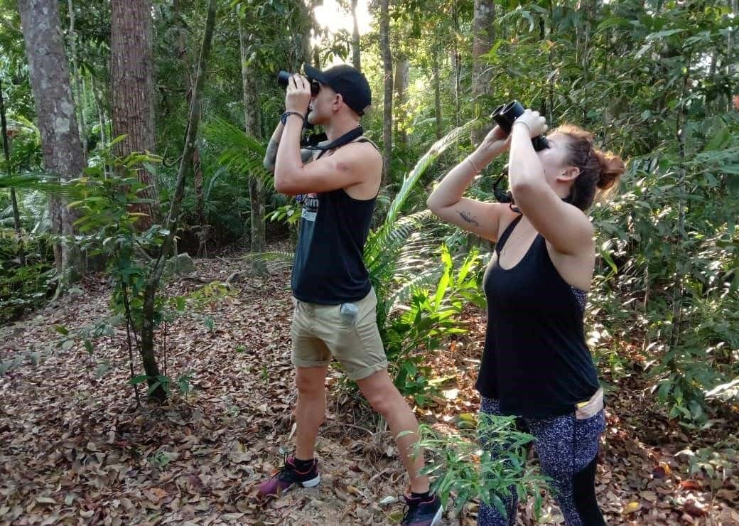 Birdwatching Experience with Transfers within Desaru2