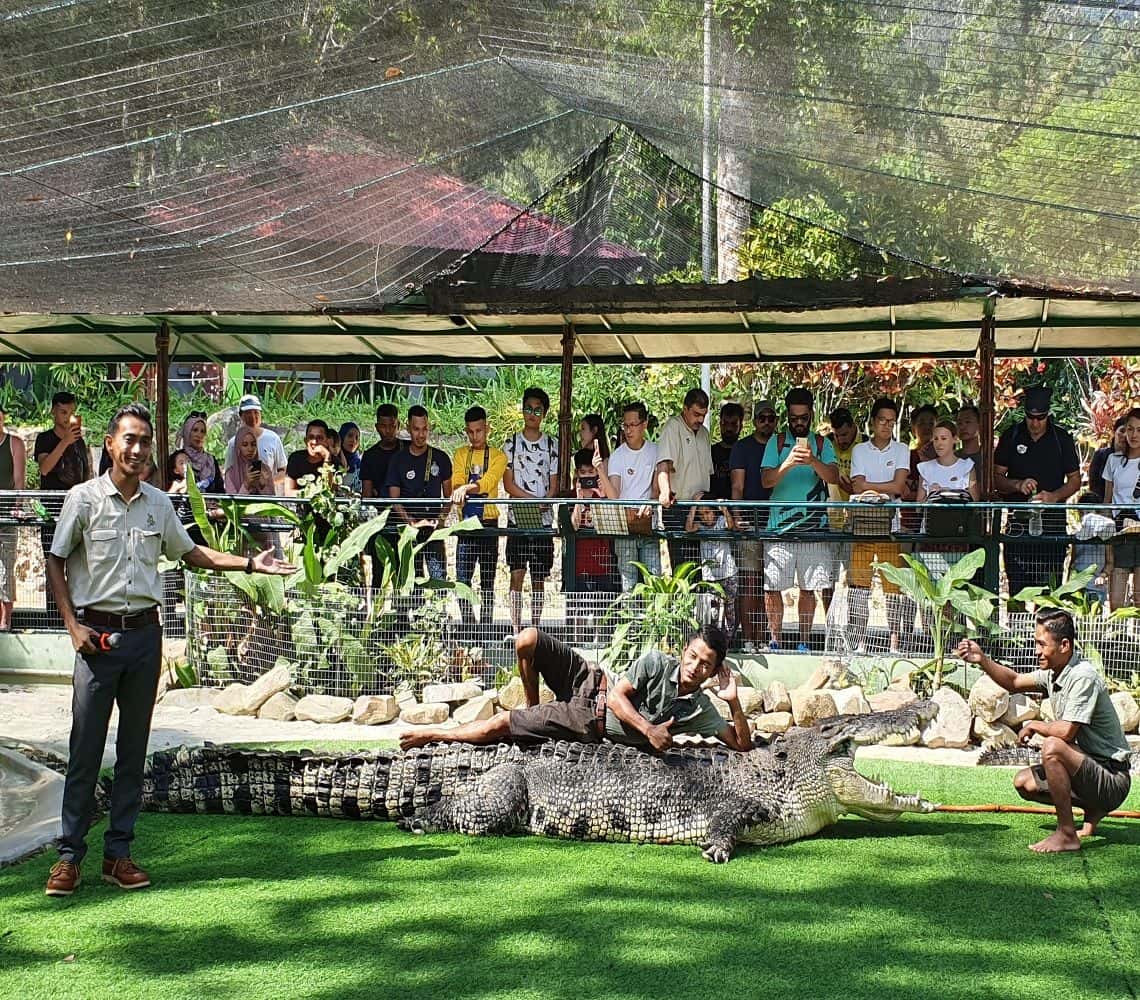 Crocodile Adventureland Langkawi2